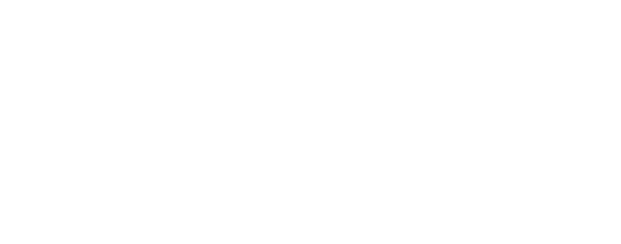 Metropolitan Builders Association | White | Ruvin Bros. Artisans & Trades